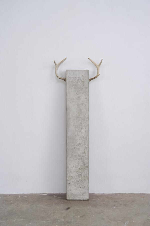 William Lenard Portrait of a White Tailed Deer, 2017