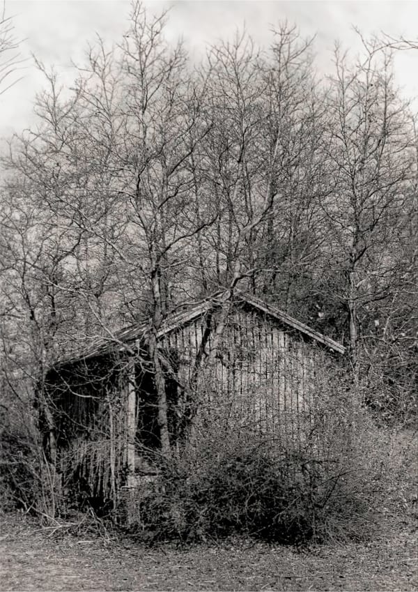 Lucy Gilbert, Locustville, Va, 2020 (35mm), 2024