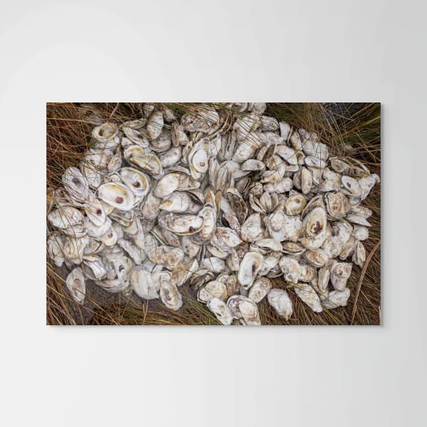 Bayleigh Albert, Oyster Chronicles, 2024