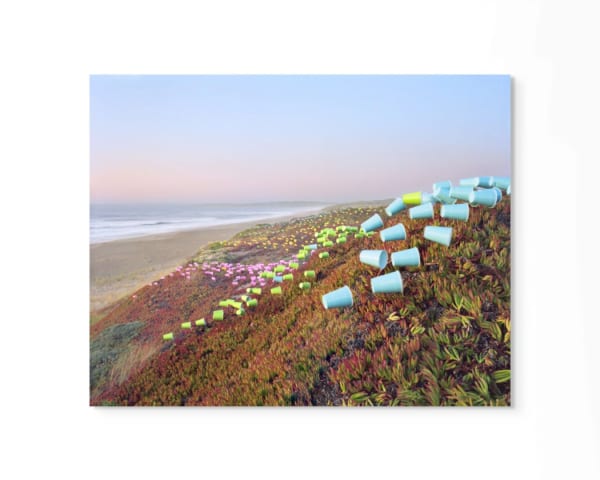 Thomas Jackson, Cups no. 5, Point Reyes National Seashore, 2019