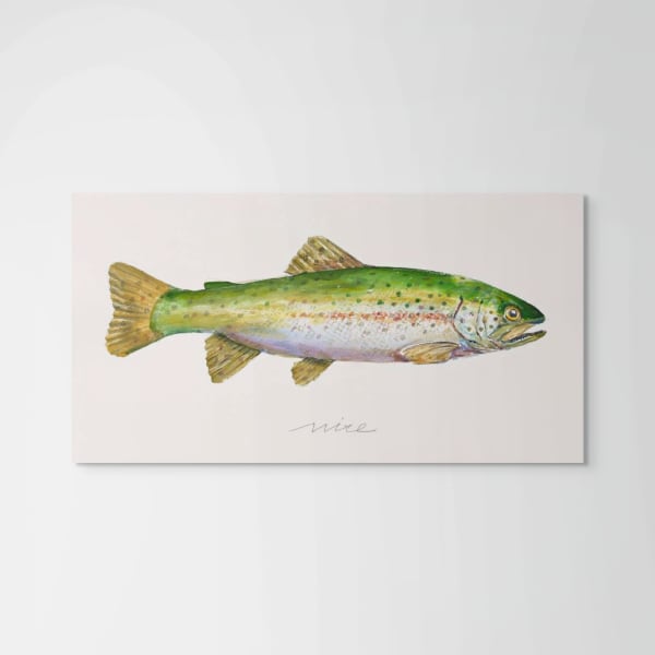 Don Nice, Trout, 2014
