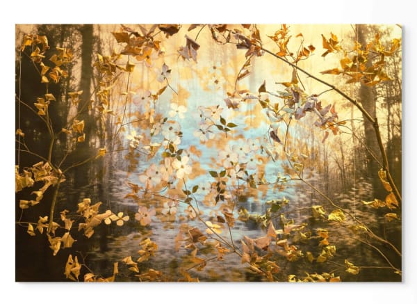 Peter Cochrane, The State Flower of Virginia is Actually a Tree, 2025