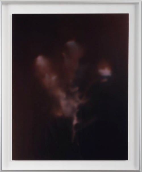 Peter Cochrane, The Magician Longs to See - Climbing Rose (Purple), 2024