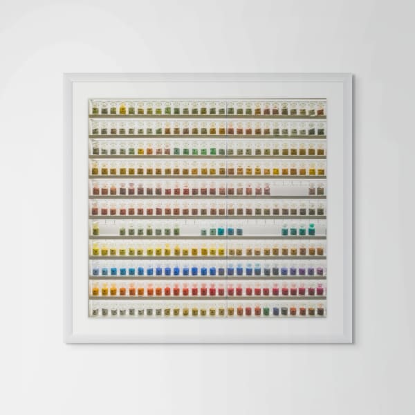 Dale Goffigon, Pigments II