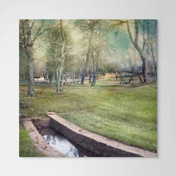 David Douglas, Invented Landscape at Fort Ward, 2022