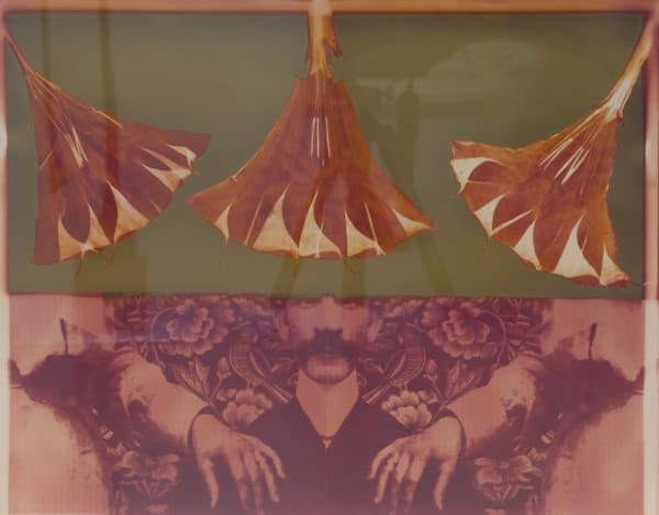 Willie Anne Wright Her Hands on His Shoulders (positive), 2013