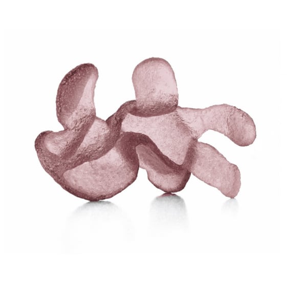 Anna Kovina, My Inside is Your Outside, 2024