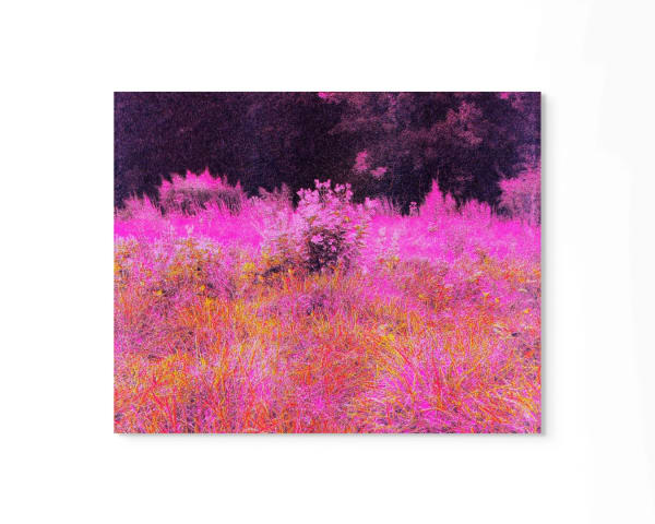 Peter Cochrane, Year Two, Spring, 2021