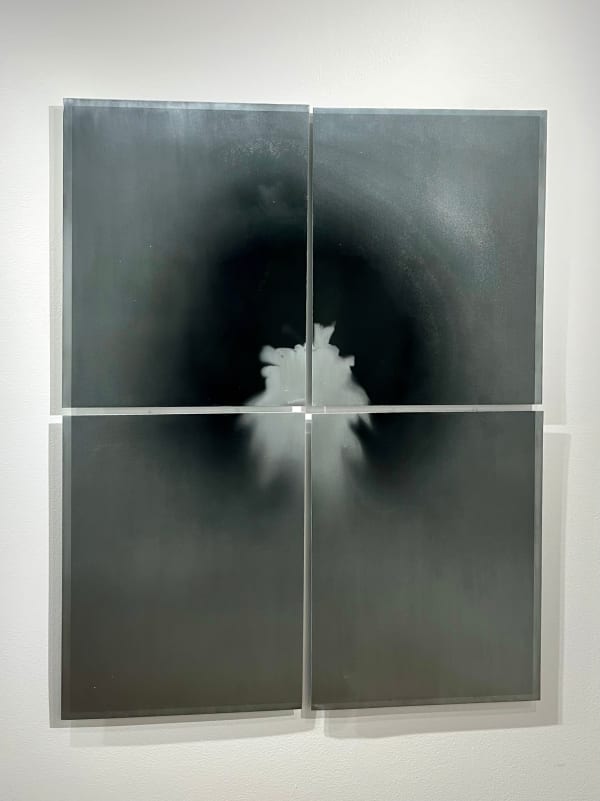 Peter Cochrane, The Magician Longs to See - Lodgepole Pine (2), 2024