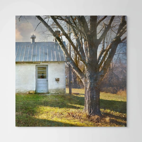 David Douglas, Large Study The Farm, 2022