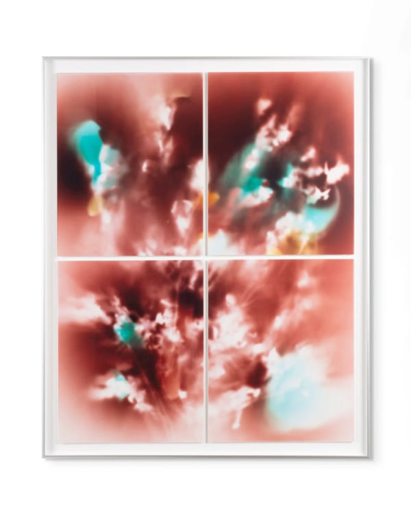 Peter Cochrane, Burned Rose - Four Panels (Red), 2024