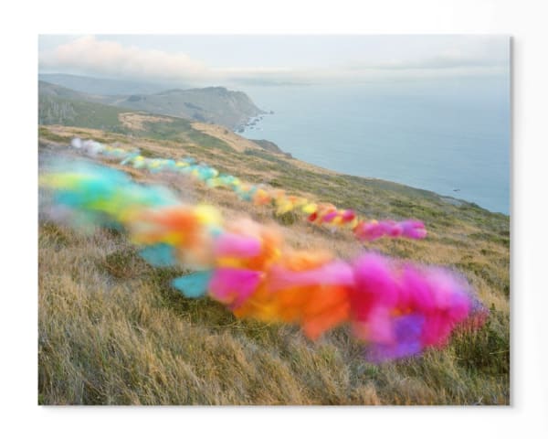 Thomas Jackson, Tulle no. 12, Stinson Beach, CA, 2020