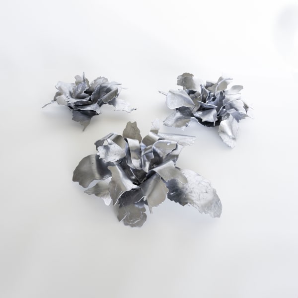 Peter Cochrane, The Alchemist’s Garden - Lead