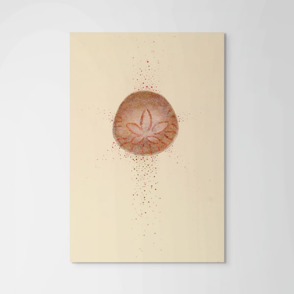 Kazaan Viveiros Sand Dollar, 2011