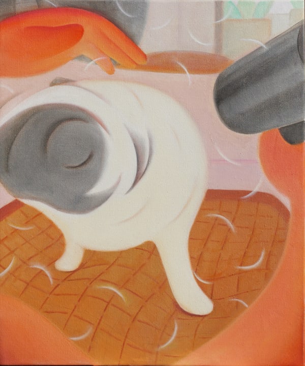 钱澔 Qian Hao, 狗毛满地 Dog Hair Everywhere, 2024