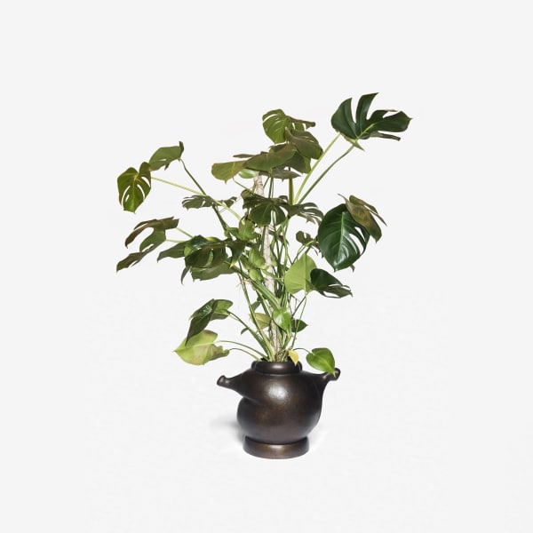 Paddy Pike Studio, Mammoth Plant Pot