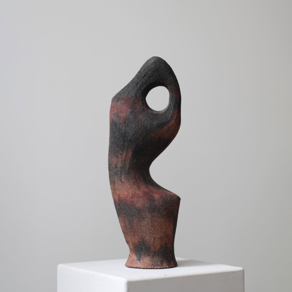 Abid Javed, Origins 8