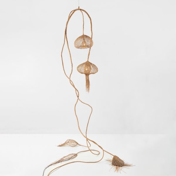 RF Studio, Tejidos Vegetal N°12 (Vegetable Fabrics) , 2022