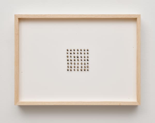 herman de vries, cardiospermum halicacabum, 2024