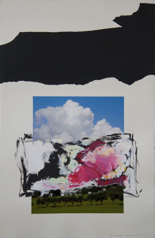 Jan Commandeur, Zachte val, 2010