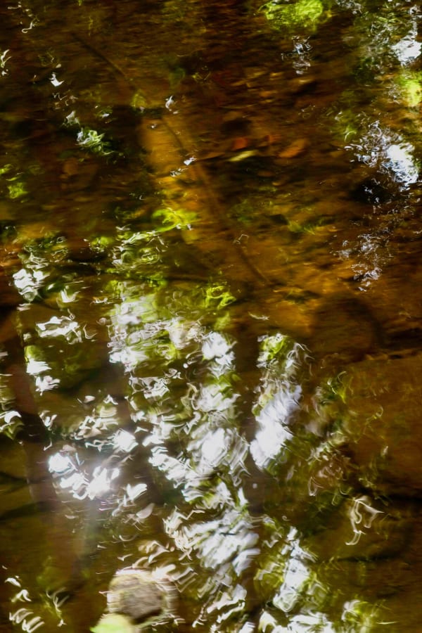 Jan Commandeur, 2021-08-14, 2021