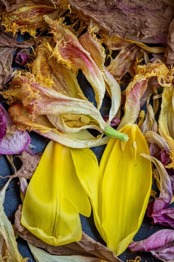 Jan Commandeur, 2020-03-25, 2020