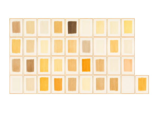 herman de vries, from earth: from around biel, 1994