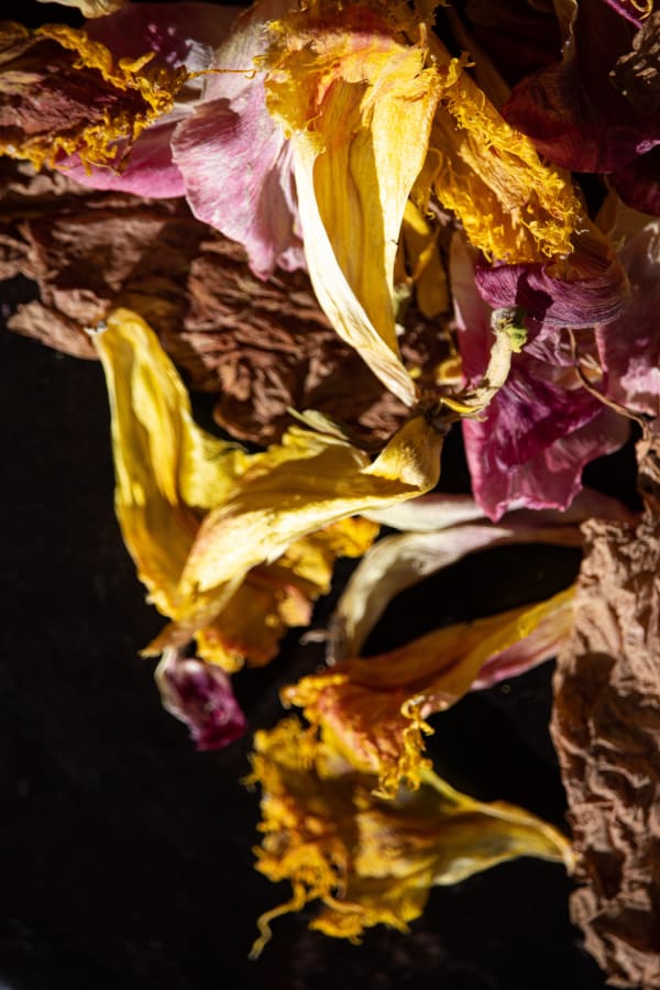 Jan Commandeur, 25-03-2020.2, 2020