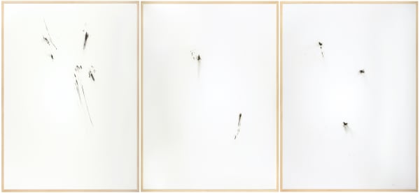 herman de vries, untitled (27-1-2018; 1-2-2018; 21-3-2018), 2018