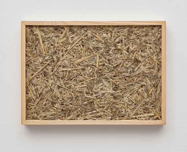 herman de vries, after the harvest 7.8.2000, 2000