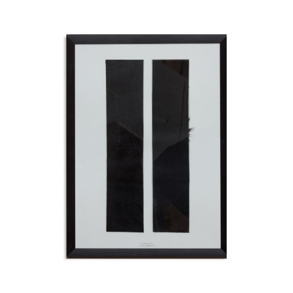 Henk Peeters, Ronald en Donald I, 2004