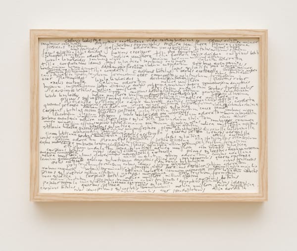 herman de vries, melico - fagetum, 2000