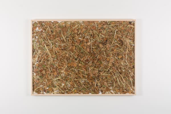 herman de vries, vor der vordertür: im herbst, 2015