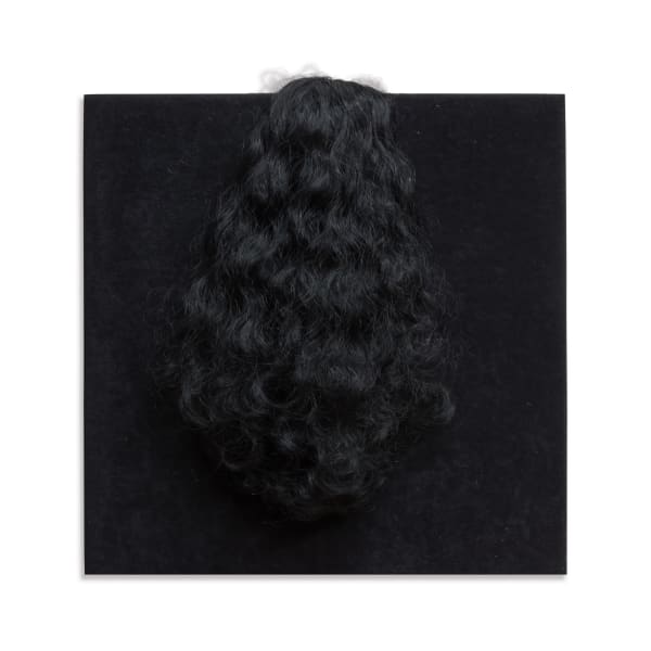 Henk Peeters, Pony-6, 2000