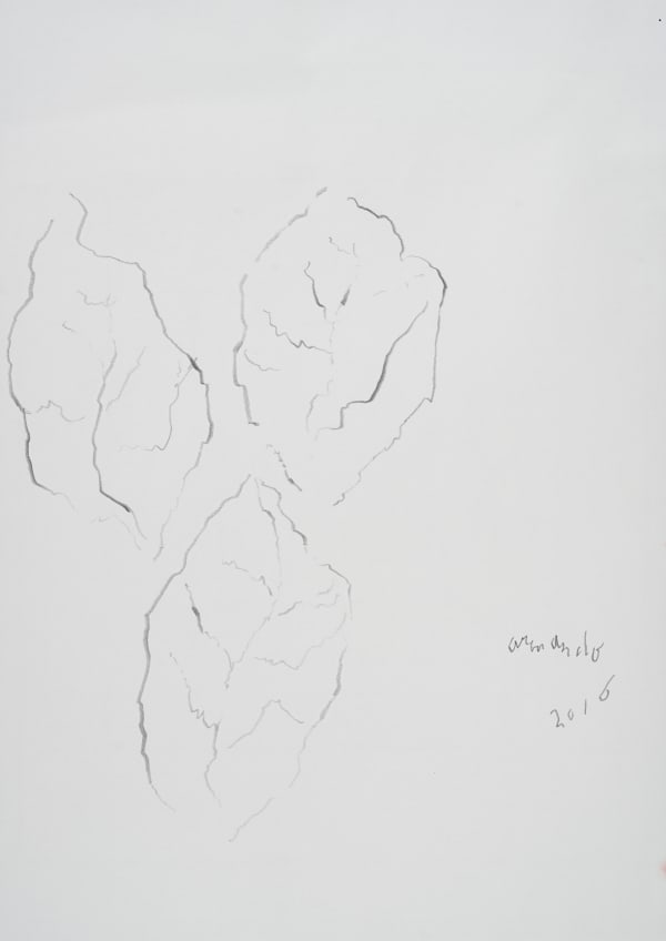 Armando, Blätter, 2016
