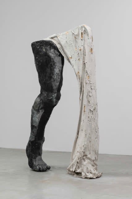 Barış Göktürk, Scanner I, 2023