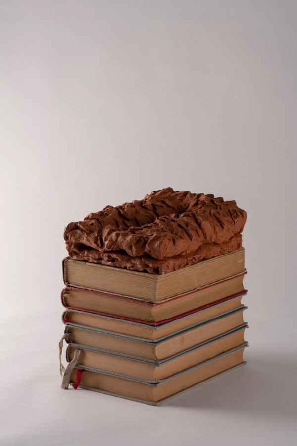 Funda Susamoğlu, The Savage, 2021