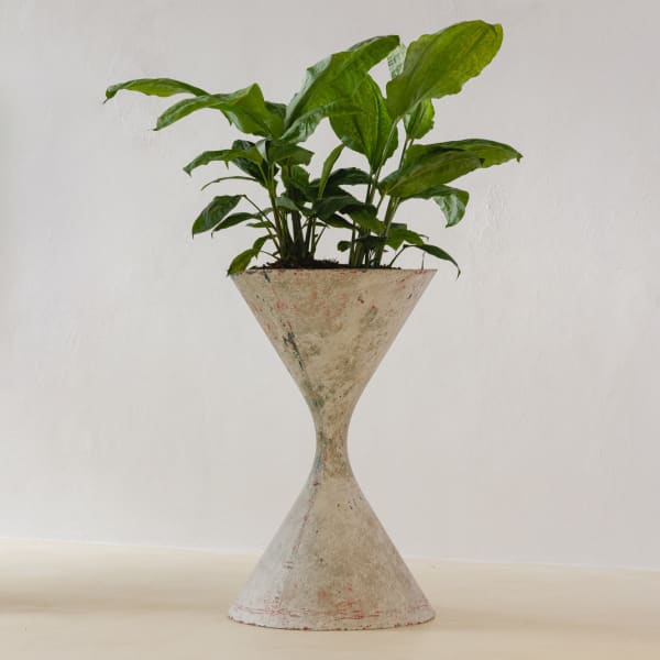 Willy Guhl, Spindel Planter, 1960s