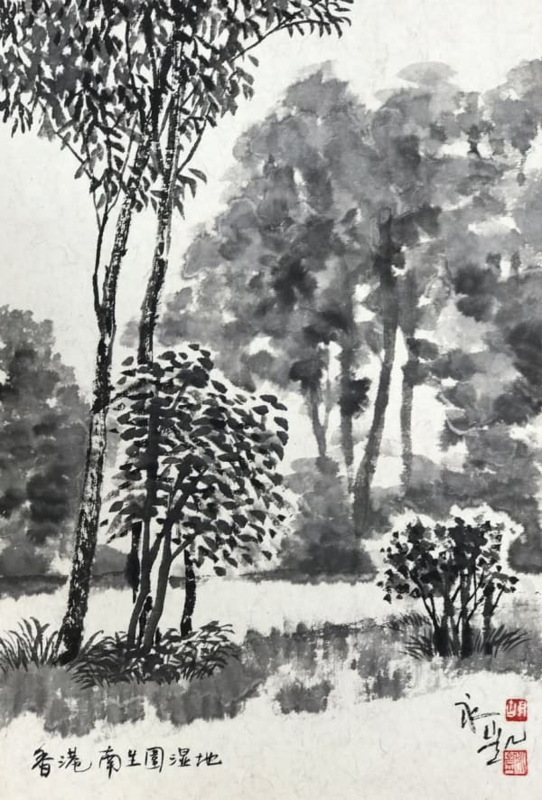 Hu Yongkai 胡永凱, 香港南生圍, 2017