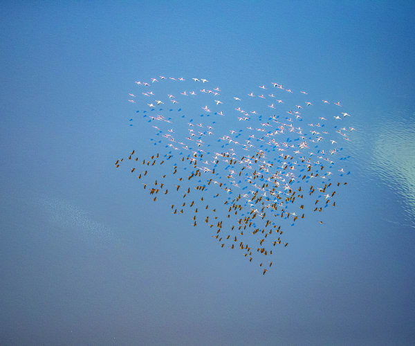 Eddy Li 李秀恒, Aerial Symphony I 天空交響曲 I