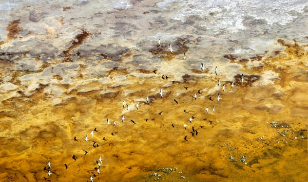 Eddy Li 李秀恒, Aerial Symphony VII 天空交響曲 VII