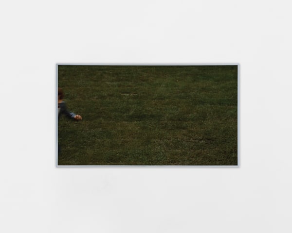 Garrett Pruter, The Birds (no. 75672), 2023, Shown at Brigade Gallery in Copenhagen, Denmark.