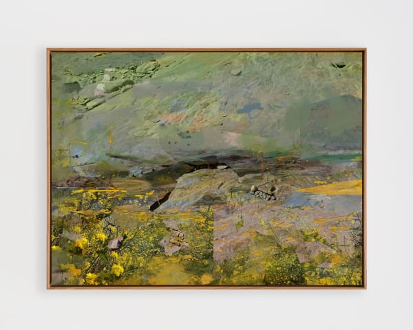 Petra Cortright, 1990's_Invention_Secrets DIGITAL “SORCERER”, Brigade Gallery