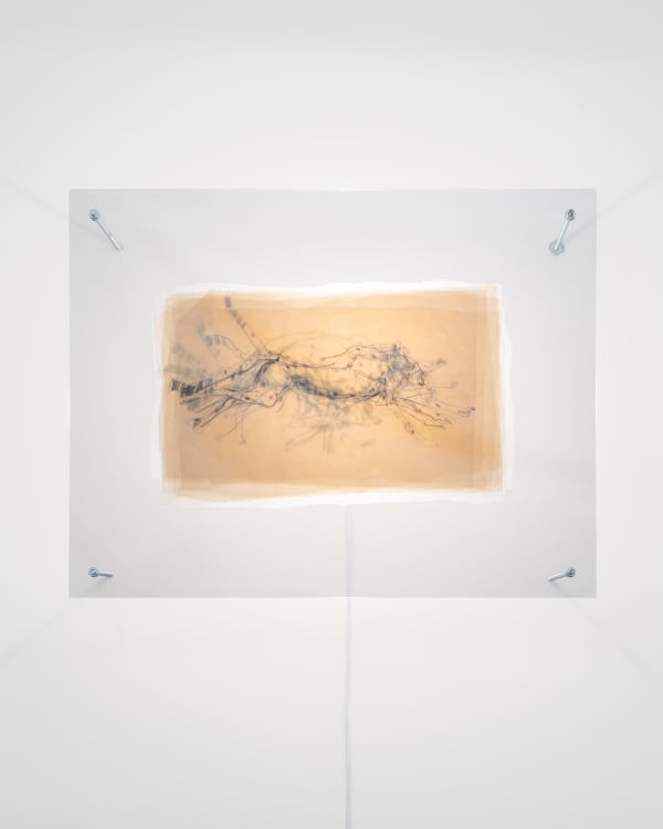 Yaily Matínez, 00:00:83, 2022, Shown by Brigade Gallery.