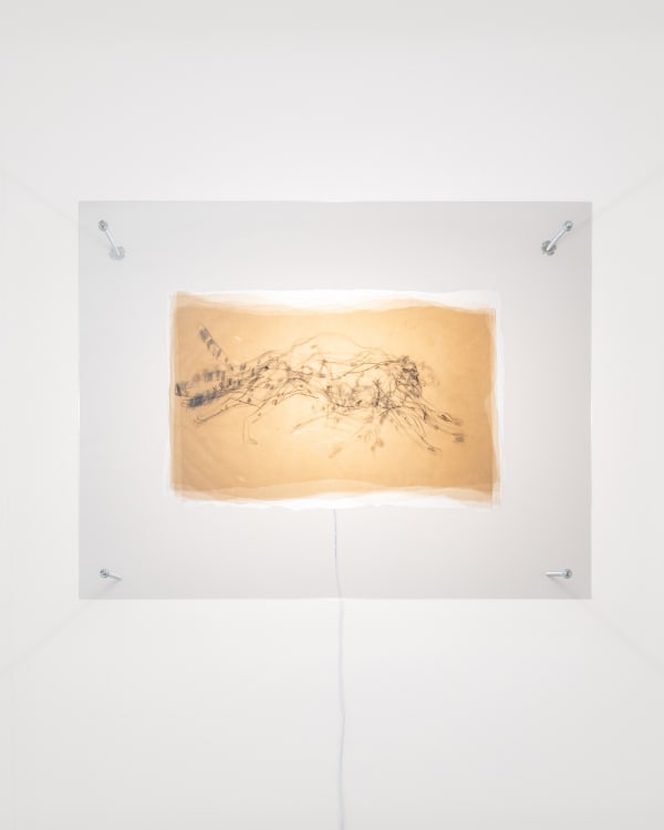 Yaily Matínez, 00:00:70, 2022, Shown by Brigade Gallery.