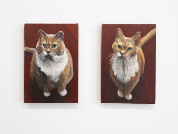 Dorus Tossijn, Before and After, 2019-2025