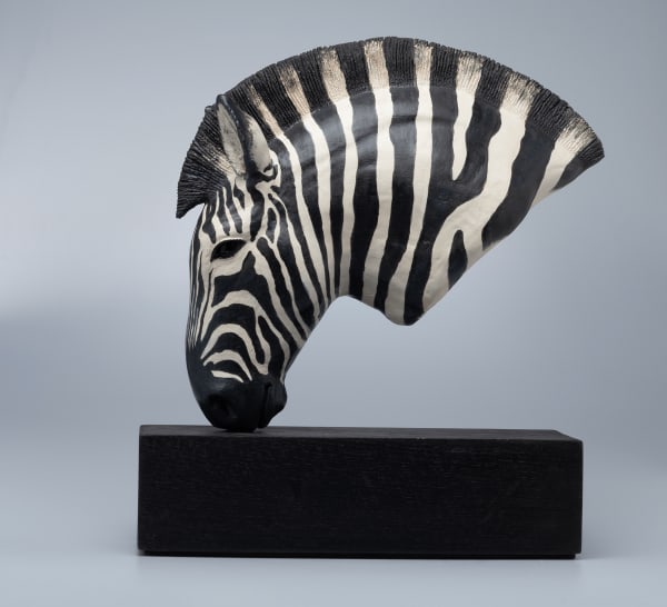 Jennie McCall, Zebra