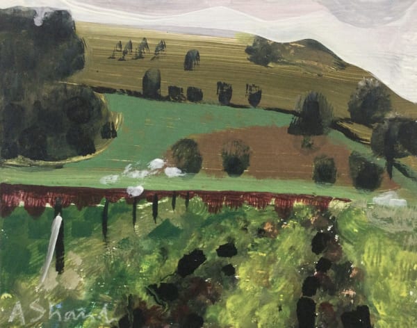 Arabella Shand, Carmarthenshire