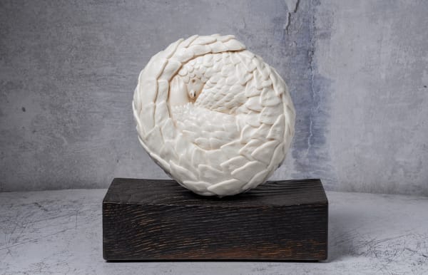 Jennie McCall, Large Pangolin