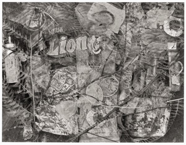 John Blakemore, Country Pursuits No.1, 1995